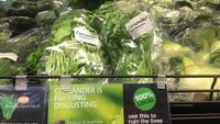 Diklaim punya rasa yang mirip seperti sabun dan agak pahit. Di Facebook ada akun grup bernama I Hate Coriander berisi kumpulan orang-orang yang membenci daun ketumbar, dan mengungkapkan rasa jengkel mereka di sana. Foto: Boredpanda