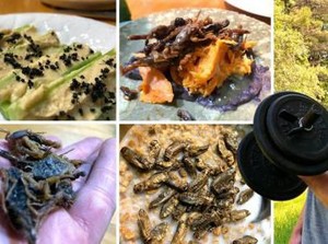 Pilih Jadi Vegan, Remaja Ini Santap Serangga Sebagai Sumber Protein