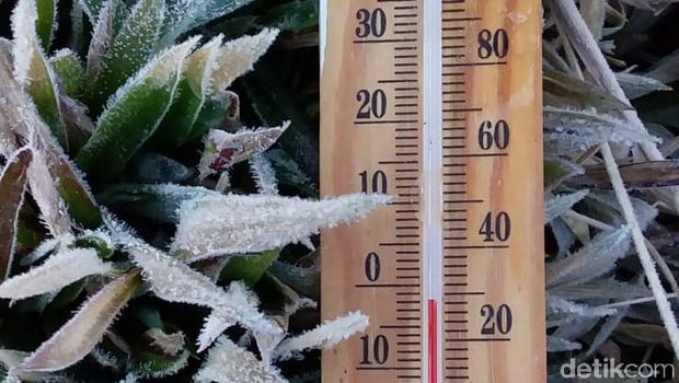 Dieng Kembali Membeku, Suhu Turun Sampai Minus 3 Derajat Celsius