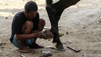 Ada juga yang tengah memasang tapal kuda.