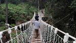 Foto: Liburan Sekolah ke Kawah Putih, Ada Skywalk Instagrammable