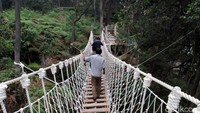 Sebelum berjalan di skywalk, traveler harus melintas jembatan goyang yang terbuat dari tali tambang ini. Jembatan goyang ini, jadi spot foto pembukaan sebelum sampai ke puncak Skywalk Cantigi (Wisma Putra/detikcom)