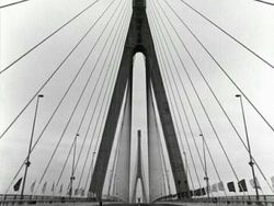 Kumpulan Foto Simetris Keren yang Menginspirasi