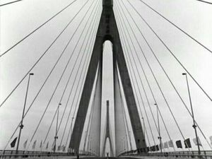 Simetris: Pengertian, Kondisi, Ciri-ciri, Jenis, dan Tujuan