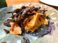 Pilih Jadi Vegan, Remaja Ini Santap Serangga Sebagai Sumber Protein 