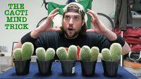Gokil! 3 Youtuber Ini Berani Makan Kaktus Mentah 