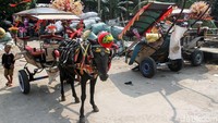Setiap harinya para kusir tersebut berkeliling di beberapa kawasan strategis di Jakarta.