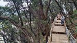 Foto: Liburan Sekolah ke Kawah Putih, Ada Skywalk Instagrammable