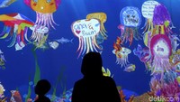 Ada lima instalasi digital yang dihadirkan di pameran ini. Tema kelima instalasi digital itu di antaranya Animals of Flowes, Symbiotic Lives; Graffiti Nature; Sliding Through the Fruit Field; Sketch Aquarium; serta Light Ball Orchestra.