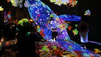 Pameran ini dibuka mulai pukul 10.00 hingga 22.00 dan untuk kenyaman pengunjung, pameran ini akan dibagi menjadi delapan sesi dengan jumlah pengunjung harian terbatas.