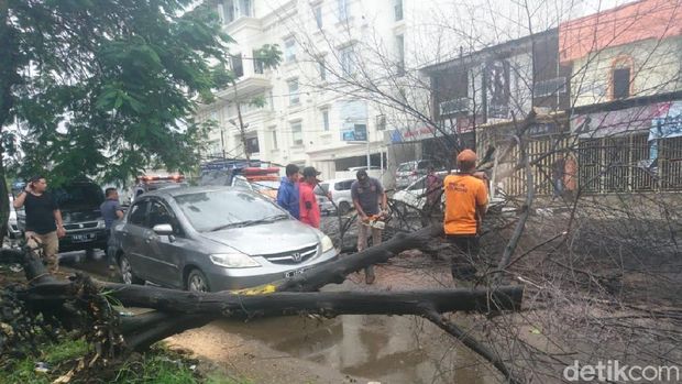 Pohon tumbang di Padang, Sumbar, Sabtu (22/6/2019)
