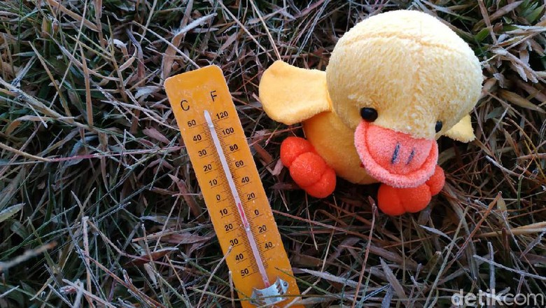 Pagi Ini Suhu Terdingin di Dieng Sepanjang 2019: Minus 5 Derajat Pagi Ini Suhu Terdingin di Dieng Sepanjang 2019: Minus 5 Derajat