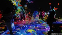 TeamLab Future Park and Animals of Flowers, Symniotic Lives resmi dibuka sejak tanggal 20 Juni hingga 20 Desember 2019 mendatang.