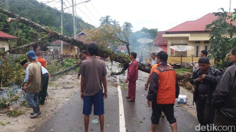 Pohon Tumbang di Padang, 1 Mobil dan 2 Rumah Rusak Pohon Tumbang di Padang, 1 Mobil dan 2 Rumah Rusak