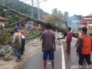 Pohon Tumbang di Padang, 1 Mobil dan 2 Rumah Rusak