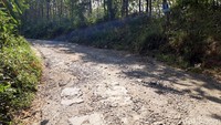 Kondisi jalan di jalur-jalur tersebut secara umum sudah cukup bagus. Selain jalan aspal juga cor beton bertulang. Melalui jalur barat, jalan rusak ditemukan di wilayah Kecamatan Wonosegoro. Di sejumlah titik jalannya berlubang dan aspalnya mengelupas.