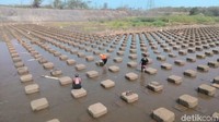 Ada lagi yang lebih instagramable. Turun saja ke bawah pintu air, tepatnya di aliran irigasinya. Tersedia ratusan beton kokoh berbentuk persegi tertata rapi laksana paving blok di atas air. (Aris Arianto/detikcom)