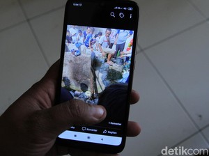 Usai Lilit Mati Jana, Ular Sanca Dieksekusi Warga