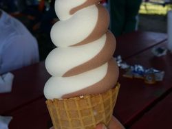 Kumpulan Foto Sempurna yang Manjakan Mata