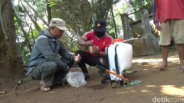 Dinas pertanian melakukan penyemprotan pestisida/