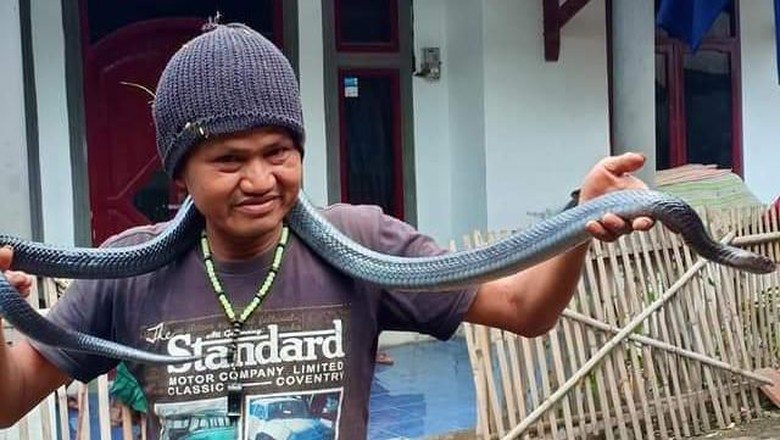 BKSDA: Ular Sanca yang Tewaskan Jana Hewan yang Dilarang Dipelihara BKSDA: Ular Sanca yang Tewaskan Jana Hewan yang Dilarang Dipelihara