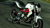 Kalau ini motor Benelli TNT 300. Kabarnya, motor kecil Harley-Davidson akan memakai basis Benelli TNT 300. Foto: Dok. Benelli