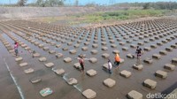 Selain Instagramable, masuknya juga gratis. (Aris Arianto/detikcom)