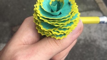 Pensilku berkembang menjadi bunga yang indah! (Foto: Brightside)