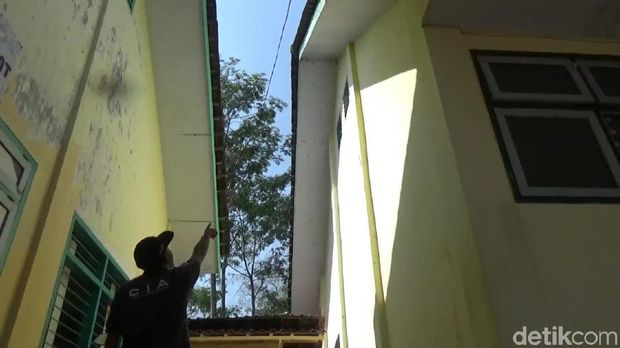 Ulat bulu serang sekolah/