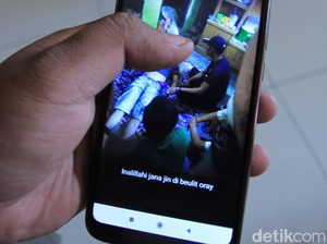 Selain Sanca Kembang yang Tewaskan Jana, Ular Ini Juga Dilarang Dipelihara