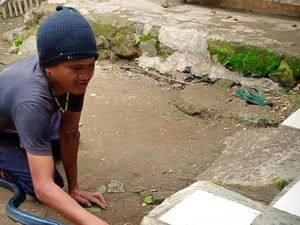 Tewas Dililit Ular Sanca, Ini Momen Jana Atraksi Bareng Kobra