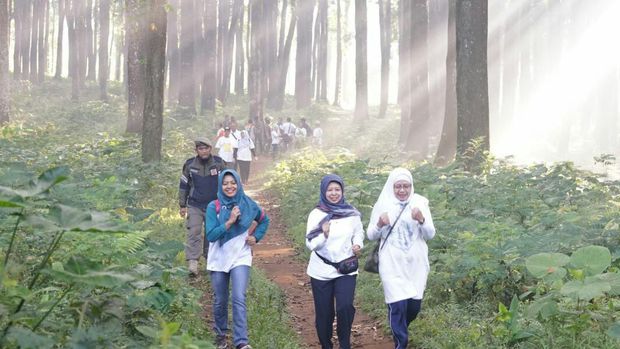 Telusuri Hutan, Ribuan Pelari Ikuti Banyuwangi Gombengsari Plantation Run 2019