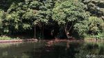 Foto: Jalur Sepeda di Semarang yang Segar Banget