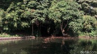 Sisi yang menarik di trek Seleses bukanlah tantangan jalur ekstrem, melainkan suguhan pemandangan alam yang menyejukkan. (Aji Kusuma Admaja/detikcom)