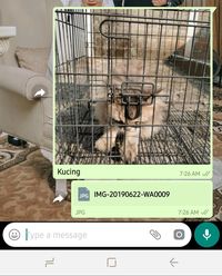 Mau Kirim Foto Kualitas Tinggi di WhatsApp, Begini Caranya Mau Kirim Foto Kualitas Tinggi di WhatsApp, Begini Caranya