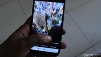 Menurut dia, suaminya sudah terbiasa mengurus ular dan bisnis hewan melata tersebut.