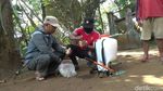 Dinas Pertanian Pasuruan Turun Tangan Basmi Hama Ulat Bulu