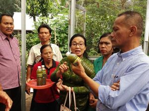 Budidaya Lele & Kangkung, Warga Bali Hemat Pengeluaran Rp 750 Ribu