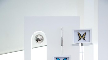 Huawei Nova 5 Pro menjadi varian tertinggi dari Nova 5 Series. Foto: Sina Mobile