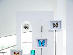 Penampilan Huawei Nova 5 Pro yang Gahar Tapi Menawan