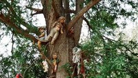 Datang ke sini, pengunjung langsung disambut beragam boneka di penjuru pulau. (Foto: Dok. www.isladelasmunecas.com)