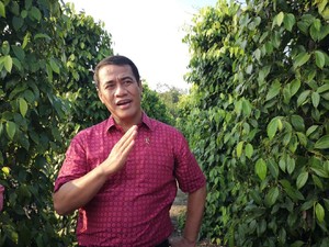 Kementan: Pencopotan Pejabat Terkait Suap Impor Bawang untuk Mitigasi