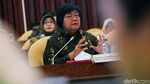 Menteri Siti Bahas Anggaran dengan Komisi IV DPR