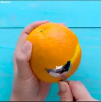 Viral! Trik Mudah Kupas Kulit Udang hingga Buah Peach Tanpa Pisau