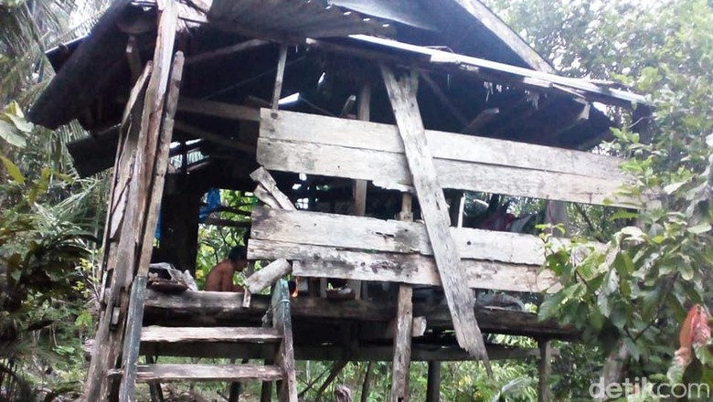Ironi Lansia Miskin di Polman, Hidup Memprihatinkan di Gubuk Reyot Ironi Lansia Miskin di Polman, Hidup Memprihatinkan di Gubuk Reyot