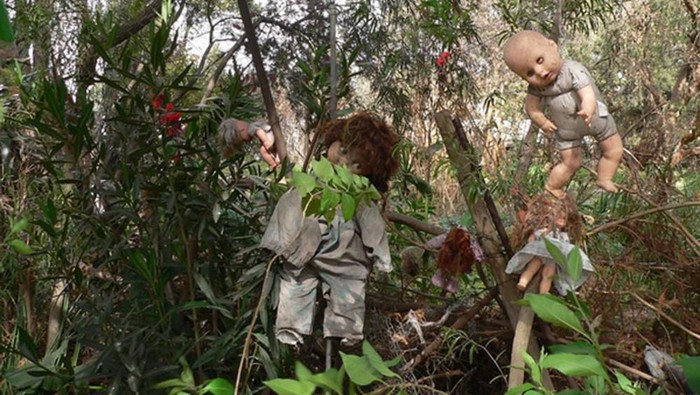 Ada sebuah pulau yang berisi beragam boneka di Meksiko. Konon kabarnya pulau ini jadi salah satu tempat paling misterius dan menyeramkan di dunia. Penasaran?