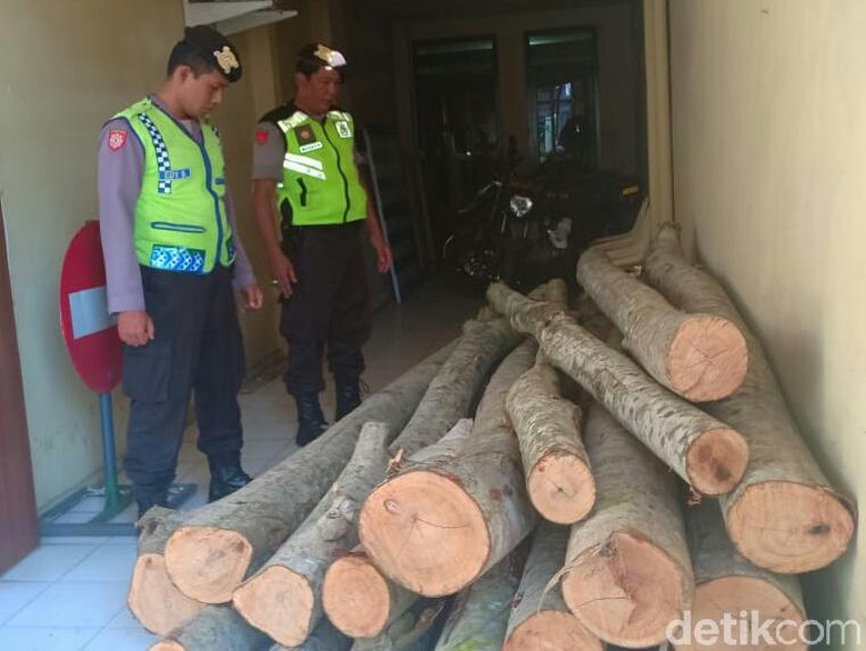 Dua Pelaku Pembalakan Kayu Hutan Ditangkap