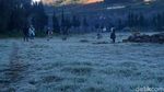 Foto: Dieng yang Membeku Diselimuti Es