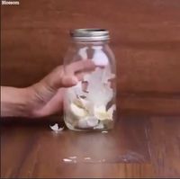Viral! Trik Mudah Kupas Kulit Udang hingga Buah Peach Tanpa Pisau