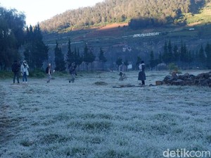 Embun Es Sulit Diprediksi, Petani Kentang Dieng Diimbau Lakukan Ini